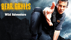 Bear Grylls