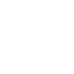 adult swim